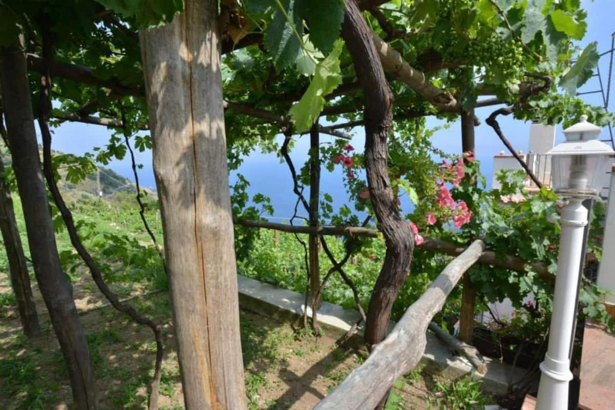 Tenuta La Picola Фуроре Екстериор снимка