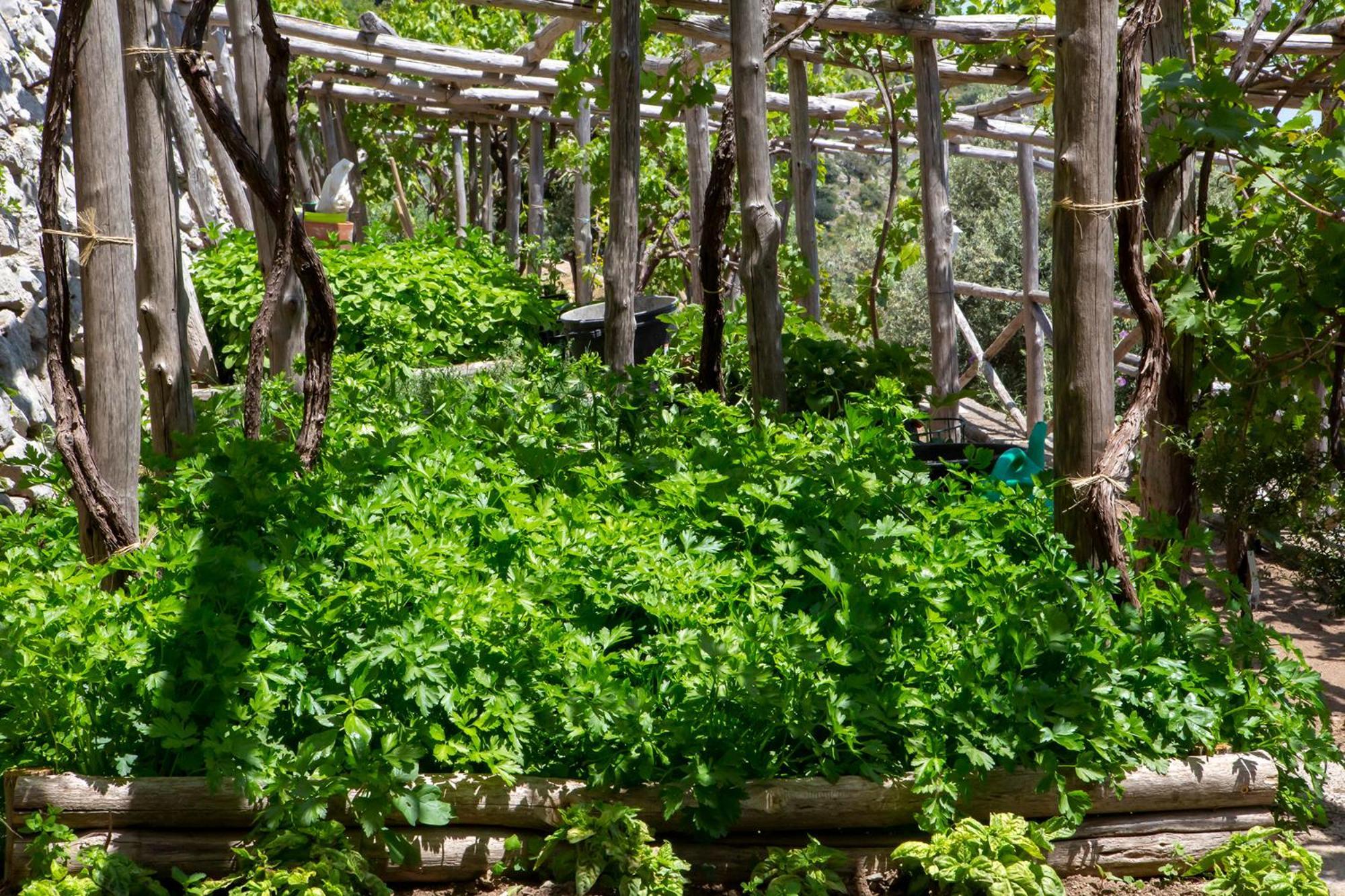 Tenuta La Picola Фуроре Екстериор снимка